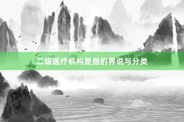 二级医疗机构是指的界说与分类
